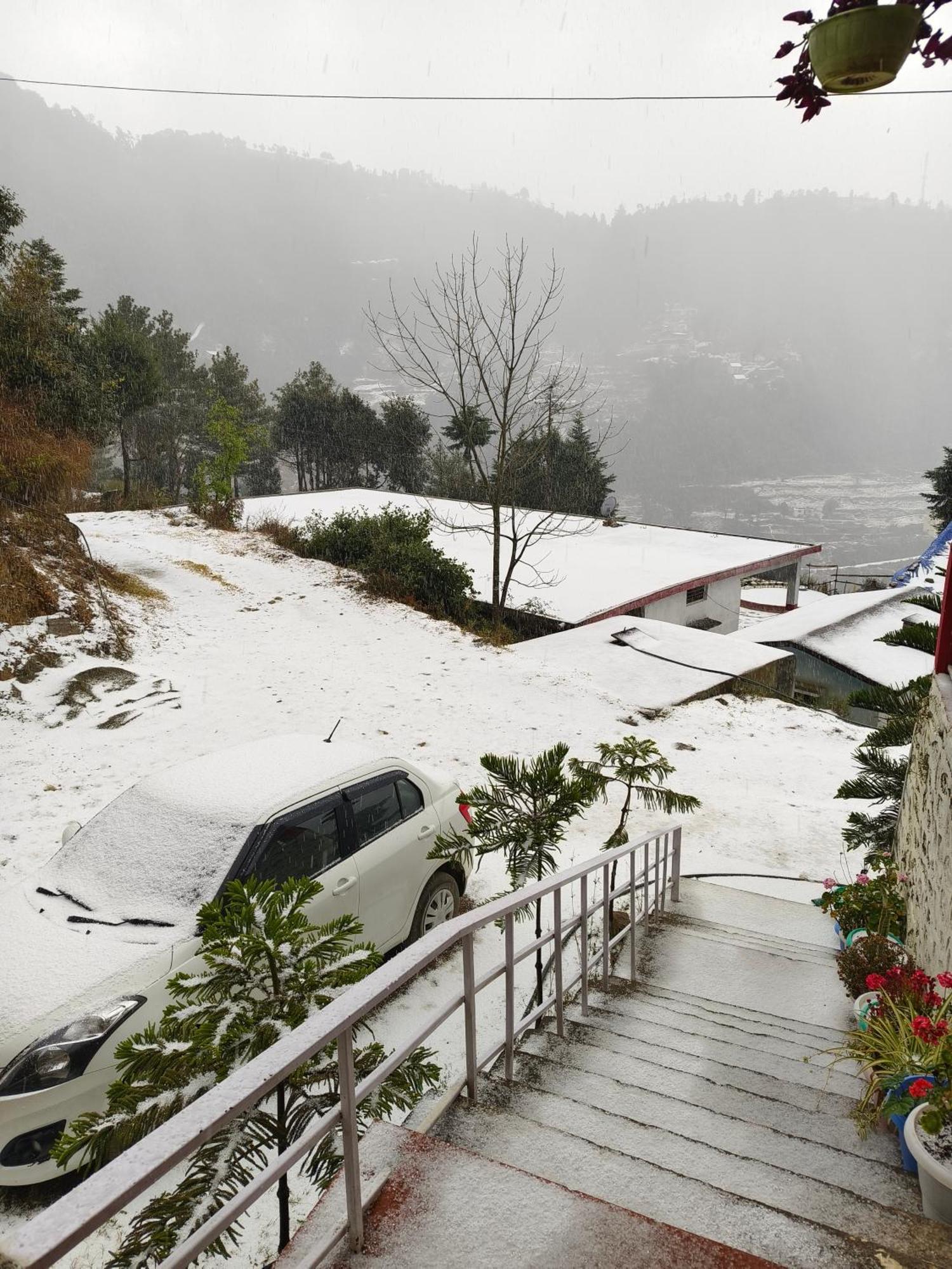 Naina Bird Cottage Nainital Luaran gambar