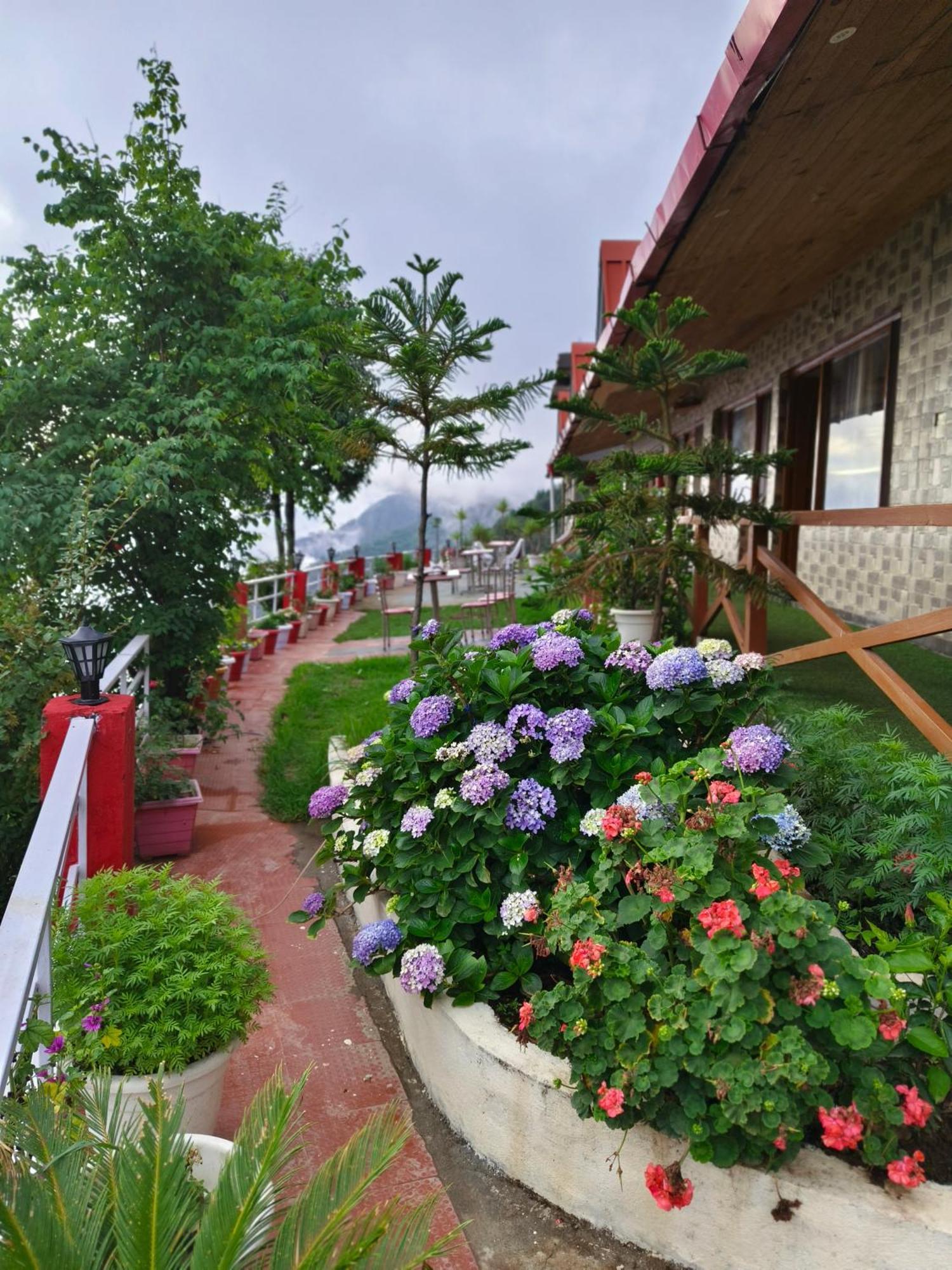 Naina Bird Cottage Nainital Luaran gambar