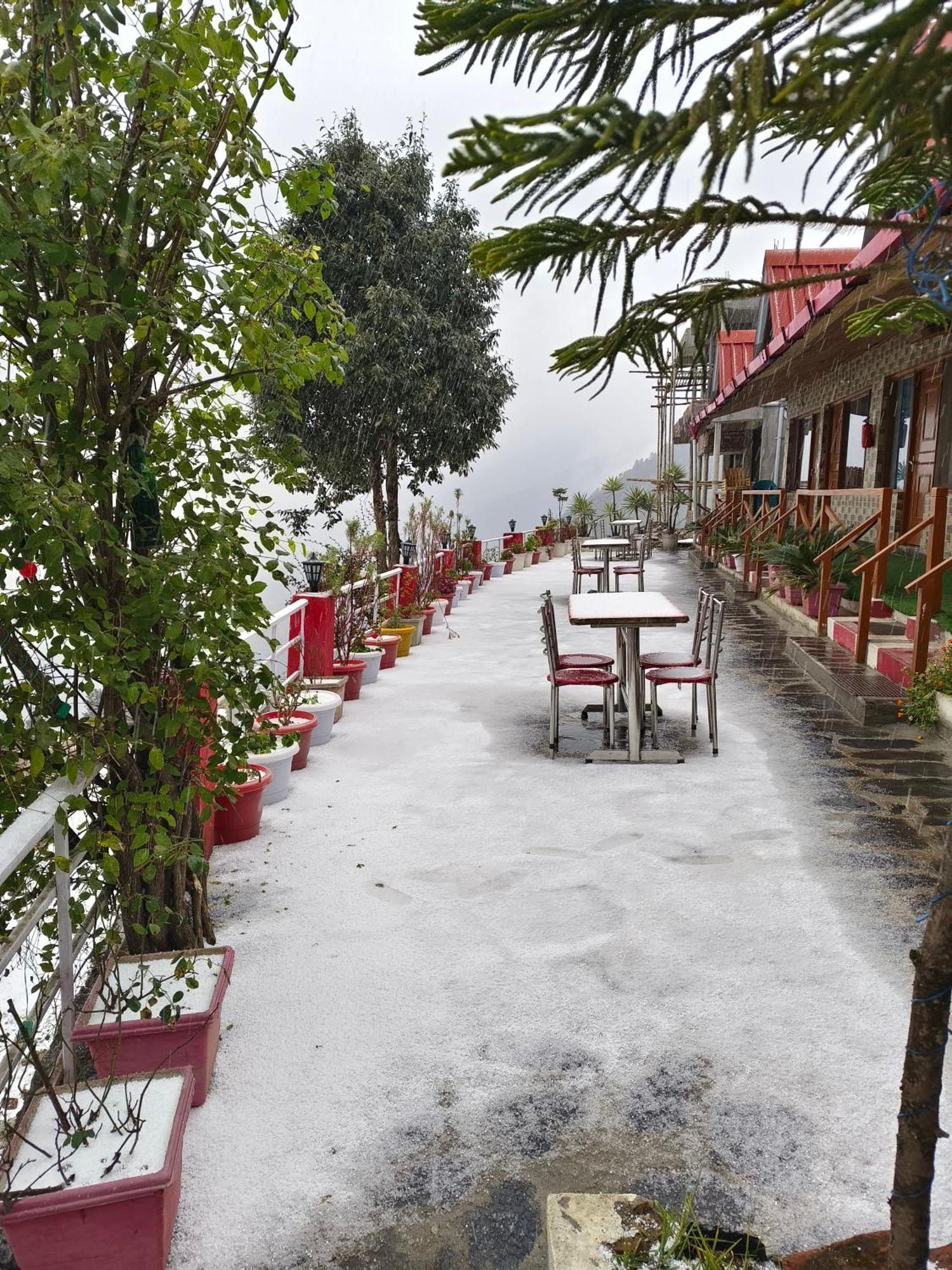 Naina Bird Cottage Nainital Luaran gambar